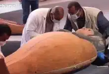 تصویر فیلم/ لحظه بازکردن تابوت تازه کشف شده از مصر باستان