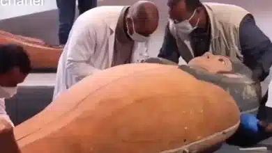 تصویر فیلم/ لحظه بازکردن تابوت تازه کشف شده از مصر باستان