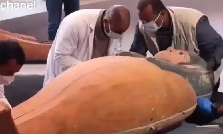 فیلم/ لحظه بازکردن تابوت تازه کشف شده از مصر باستان