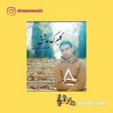دانلود آهنگ حامد تقوایی گلبرگ عاشق