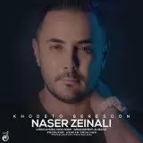 دانلود آهنگ جدید ناصر زینعلی به نام خودتو برسون