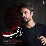 دانلود آهنگ جدید راغب به نام گره گشا