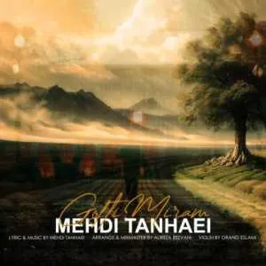 مهدی تنهایی گفتی میرم