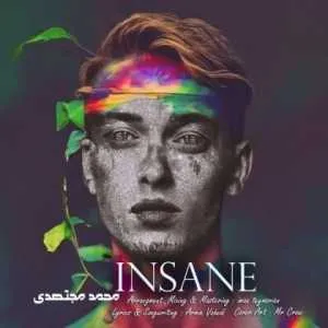 محمد مجتهدی مجنون + متن آهنگ