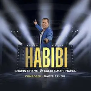 دانلود آهنگ جدید شاهین شمس و سعید سیاحی ماهر به نام حبیبی + متن آهنگ