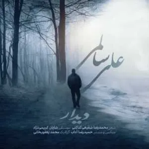 دانلود آهنگ جدید علی سالمی به نام دیدار