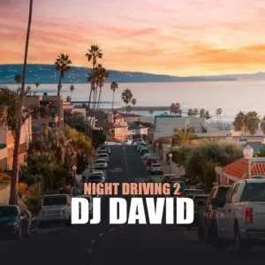 دی جی دیوید Night Driving 2